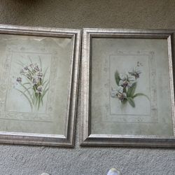 Flower Picture Prints Irises And Orchids Perfect Condition 