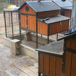 Producer Pride Chicken Coop