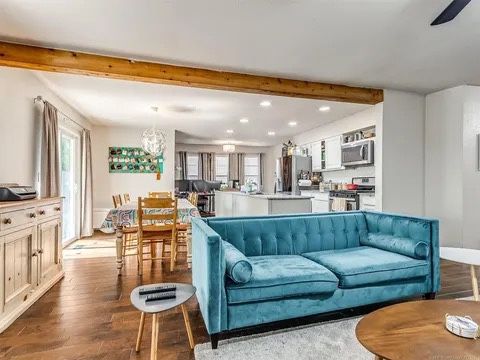 Velvet Couches