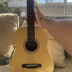 Mitchell MDJ-10 Acustic guitar