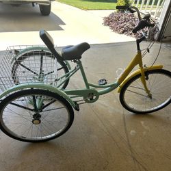 Adult Tricycle