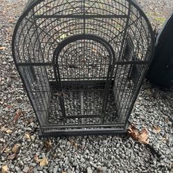 Bird Cage 