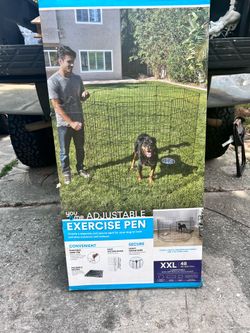 Doggie necessities