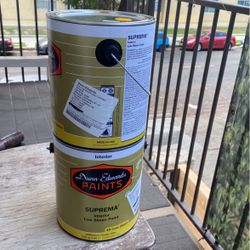Paint 