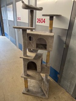 Cat Tree Needs Cleaning