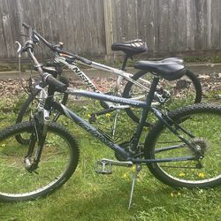 Giant & Nishiki Bike