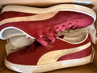 Men puma