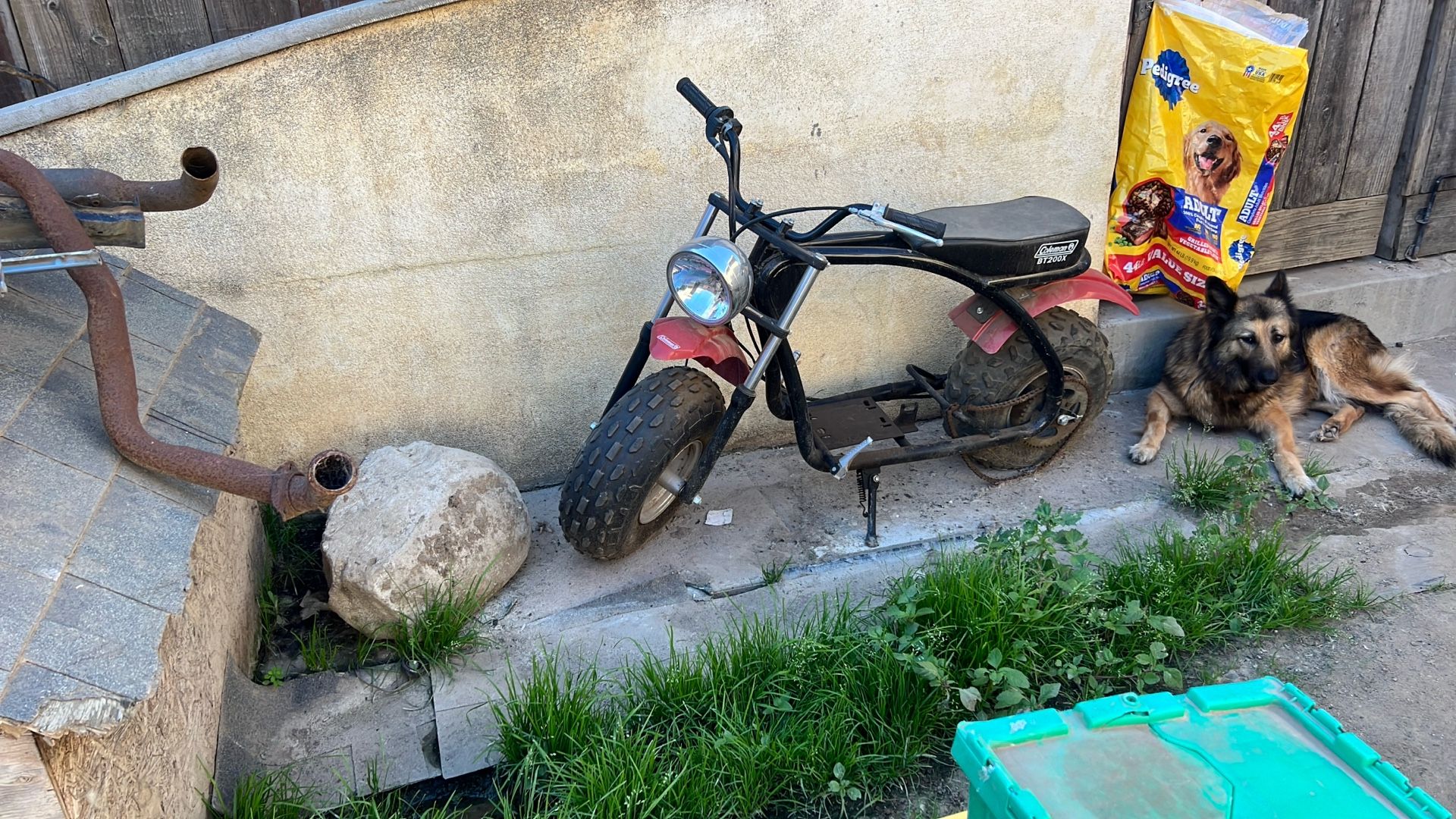 Coleman Mini Bike