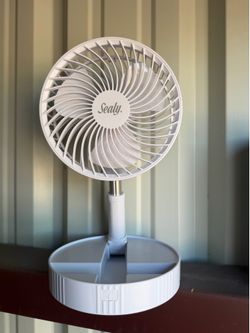 Portable fan