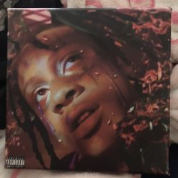 trippe red  square canvas poster