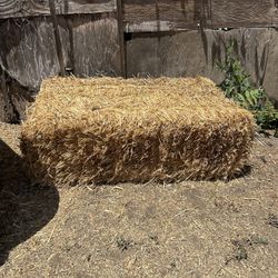 Hay Bale 