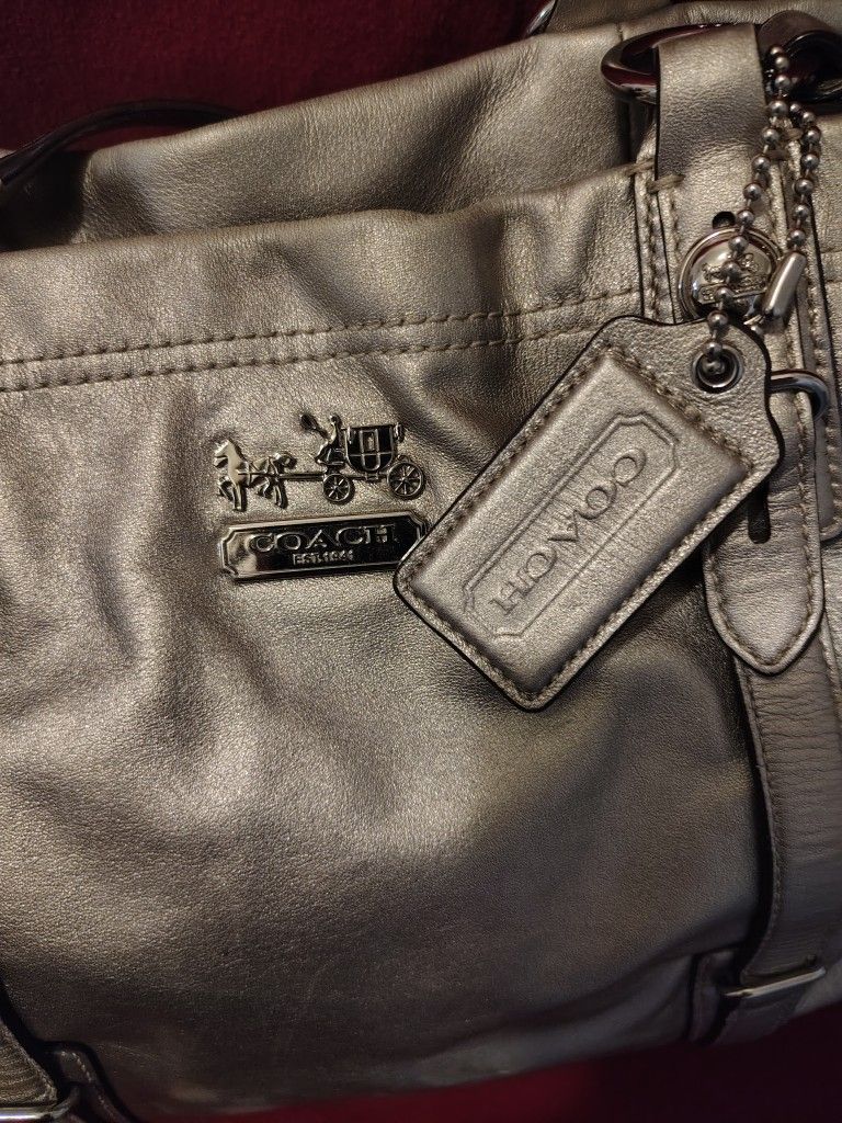 Coach Metallic Handbag
