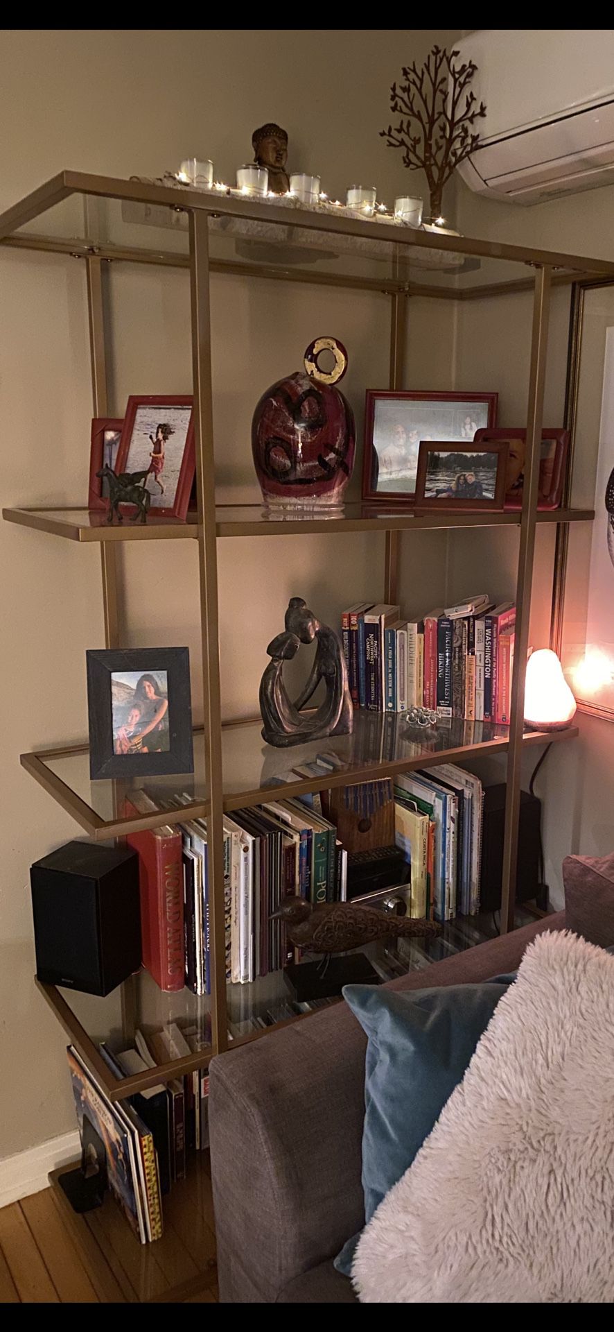 Gorgeous Bookshelf. Metal And Glass 