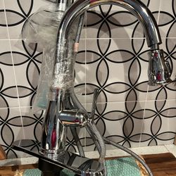 Chrome Faucet with Soap Dispenser & Pull Down Sprayer