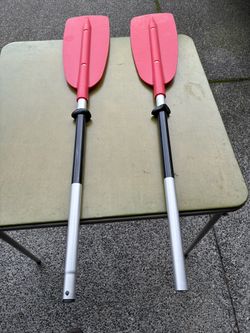 Kayak/Canoe paddle(s)
