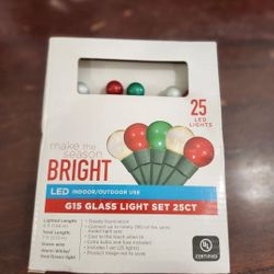 LED Indoor/Outdoor Wreath Light Set (25 ct lights) new in box