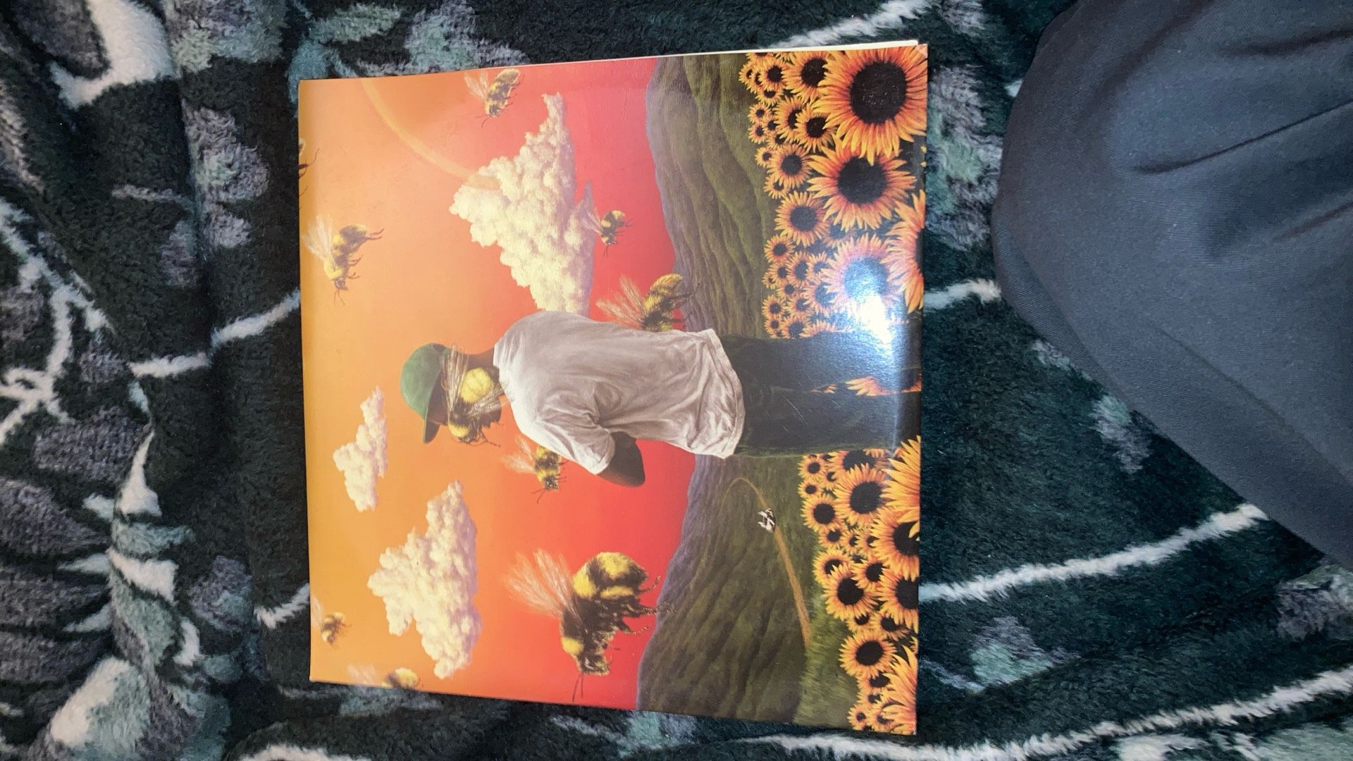 Tyler the creator Flower Boy vinyl album