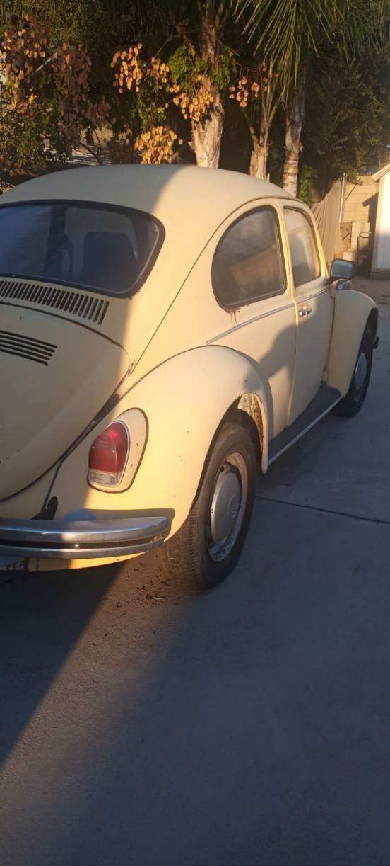 1970 VW Bug