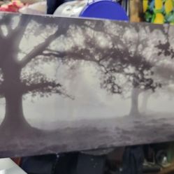 Large Black/White Wall Art Picture