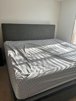 Urgent move out sale!!! King size cot steel