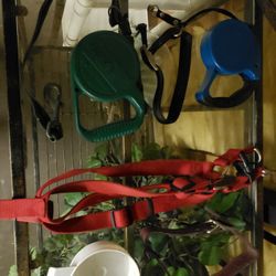 Dog Leashes Harness Auto Retract Leash 