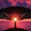 Sortablebloom Designs & Sales