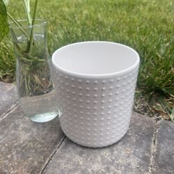 White Ceramic Pot For Plants 