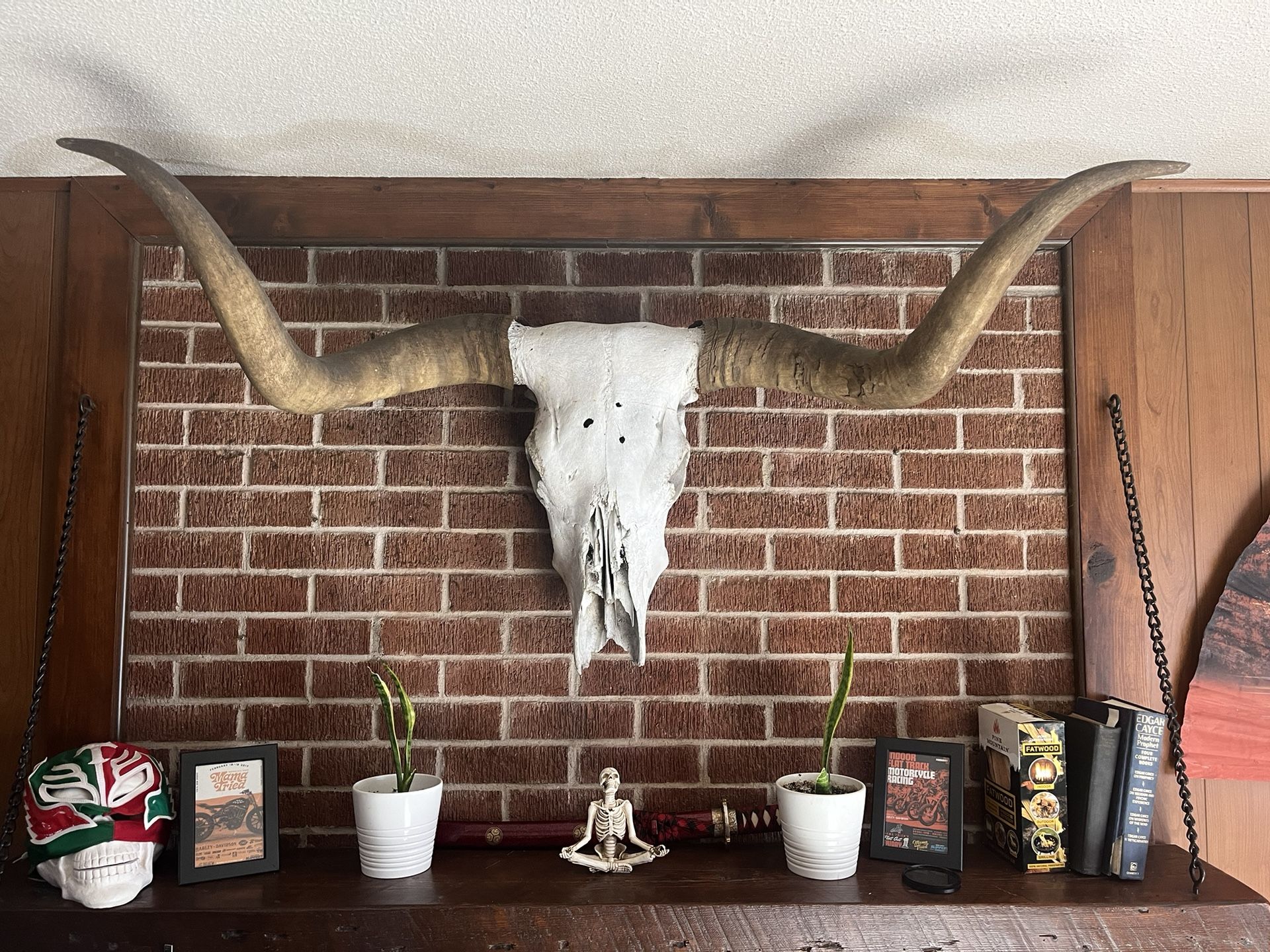 Longhorn Cow Skull (authentic),All Products : American Fashion Style Bags On Sale