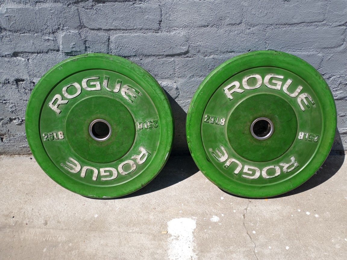 2 25lb Green Bumper Plates From Rogue Fitness.