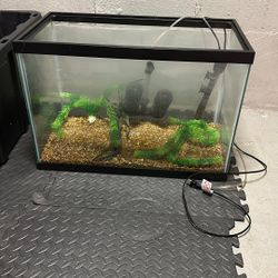 22 Gallon Aquarium with Rocks And More