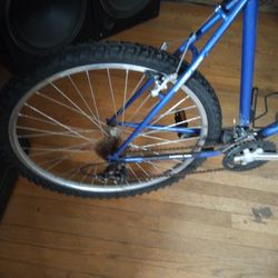 Diamond Back Mountain Bike 