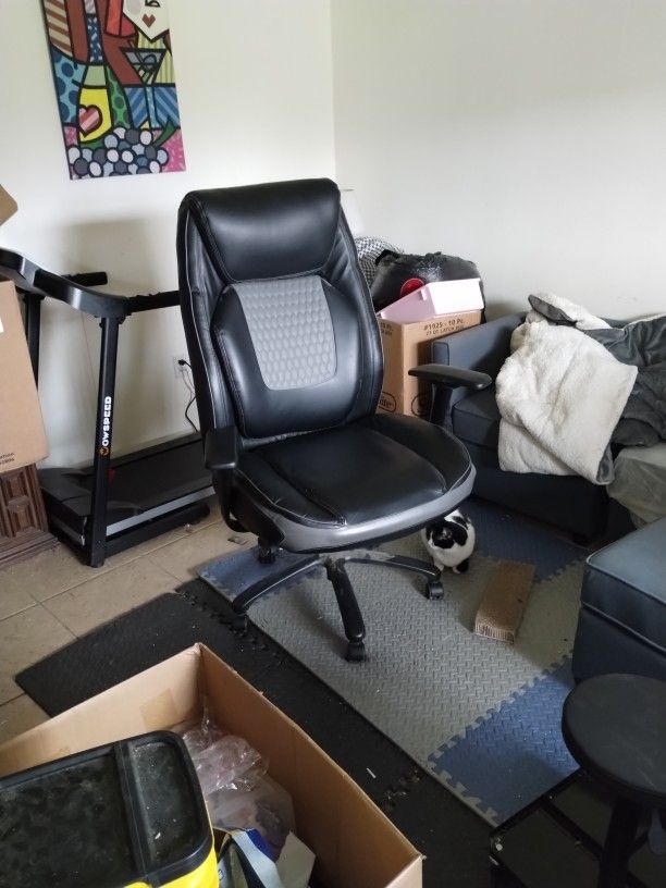 Shaquille O Neill Giant Chair