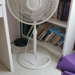 Pedestal fan white