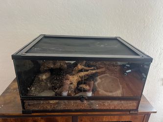 Reptile Cage