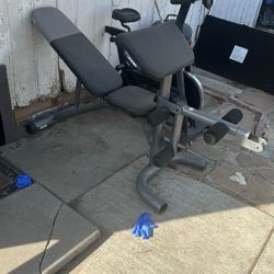 Weight Bench