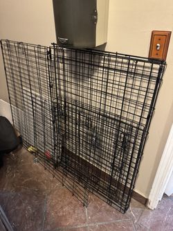 Large Dog Kennel