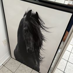 Horse Frame 