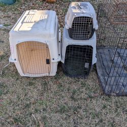 Dog Kennel 