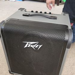 Peavey Bass Amp