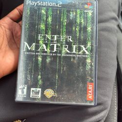 Enter The Matrix 