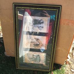 Animal Lion Zebras Frames