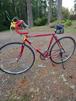 Vintage Nishiki Riviera GT road bike