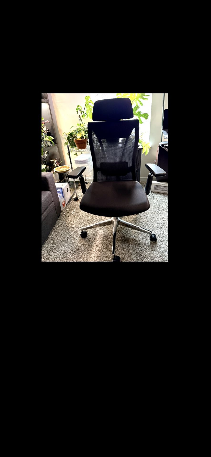 TribeSign Ergonomics Office chair , Lumbar Support, Tall And Adjustable