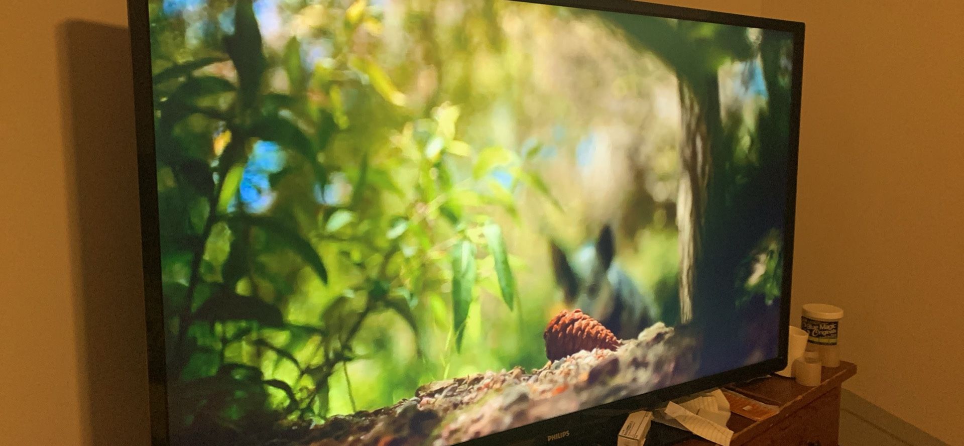 Tv