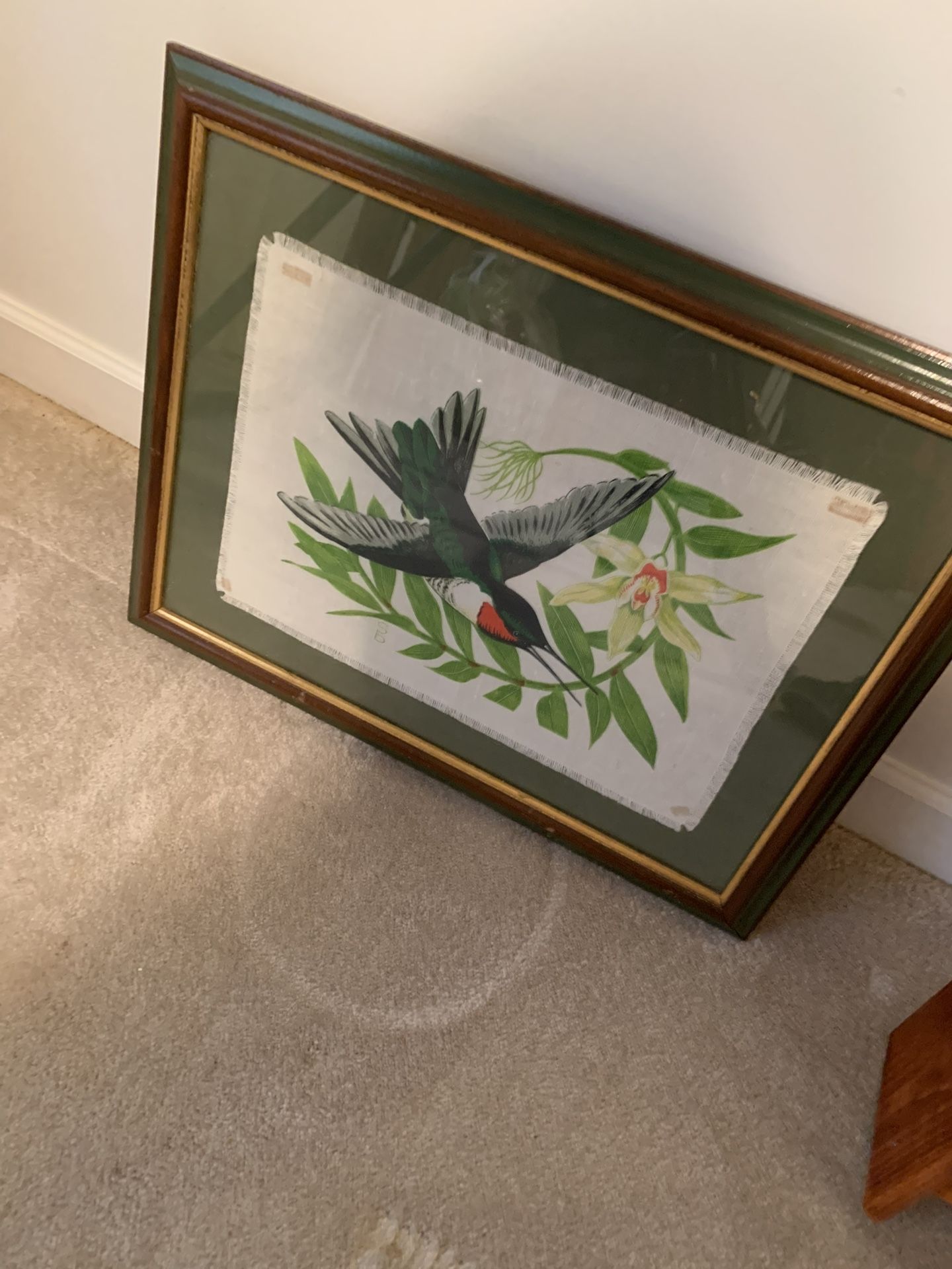 Bird Framed Picture