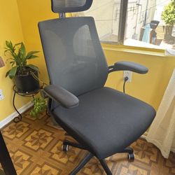 Desk Chair 