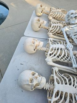 Skeletons Halloween props