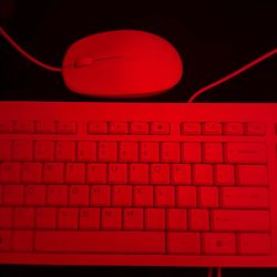 HP| Mouse and Keyboard
