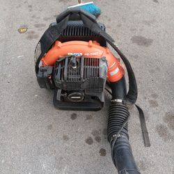 Echo Blower