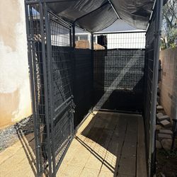 Outdoor Dog Kennel